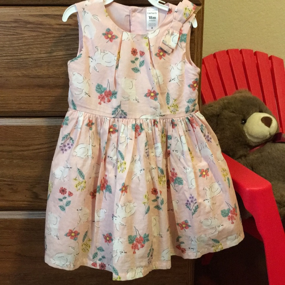 ! EUC 18M Carters Dress w petticoat